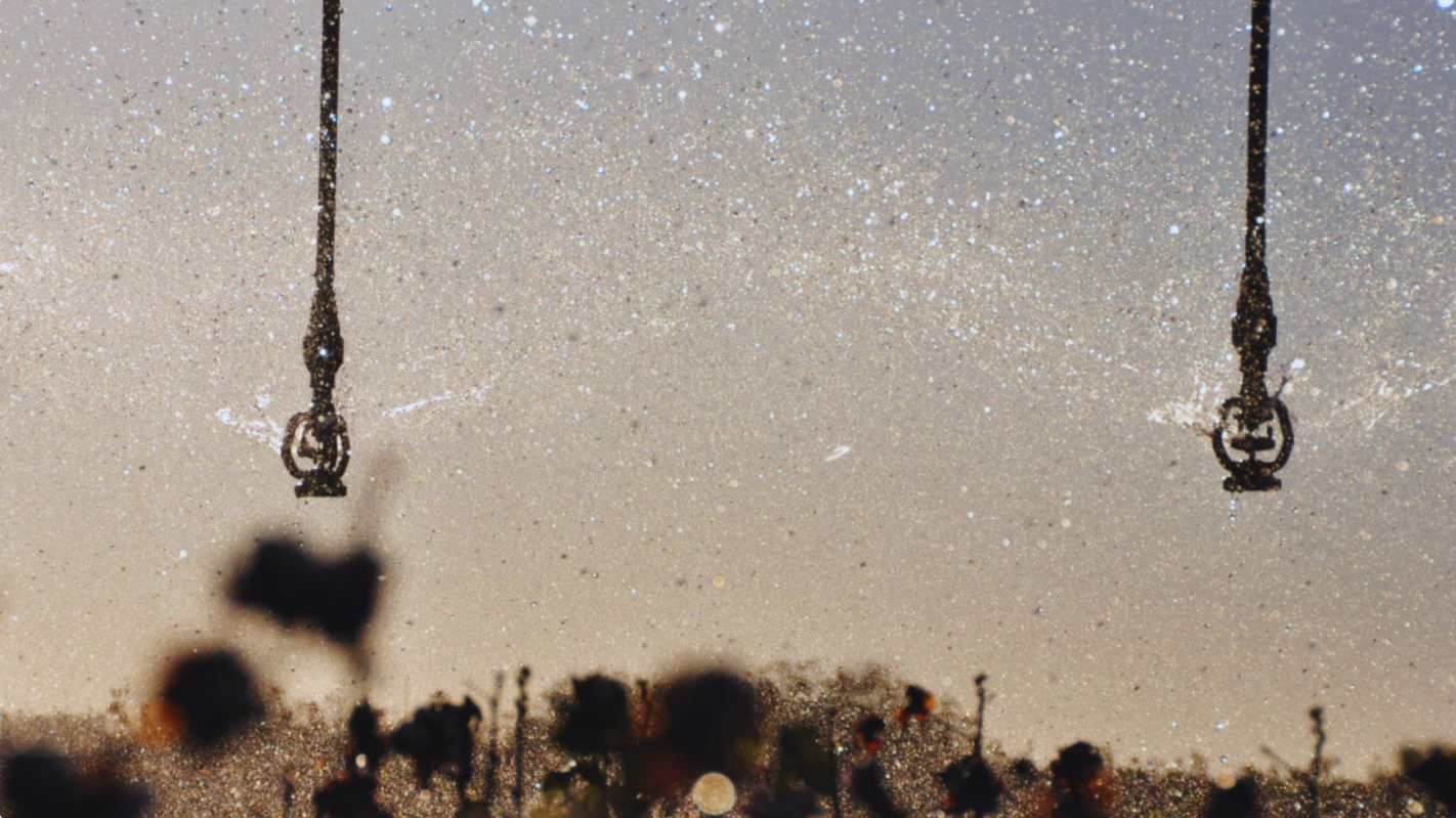 Con IA, redefinen el monitoreo del riego en la Argentina