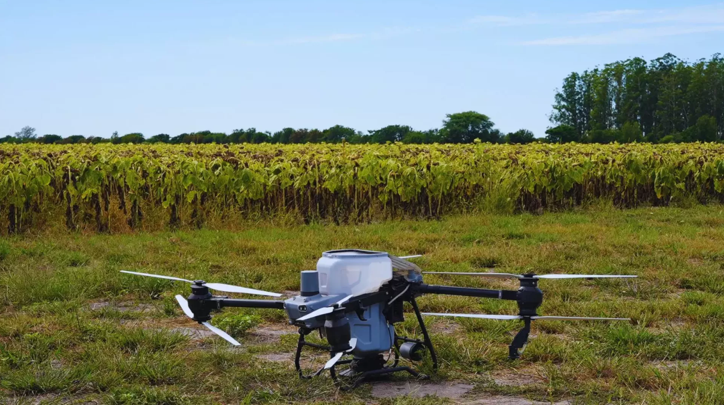 Con drones y algoritmos, reducen a más de la mitad el uso de nitrógeno