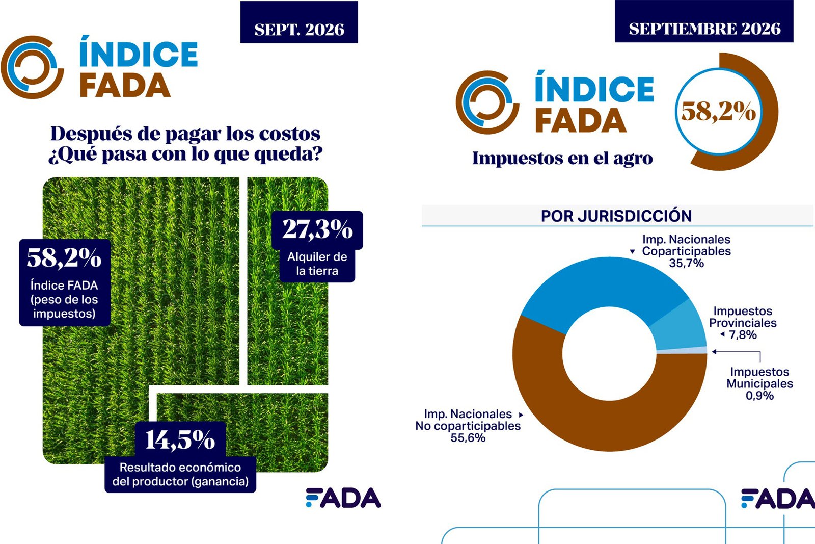 El Estado se queda con el 58,2% de la renta agrícola, según FADA