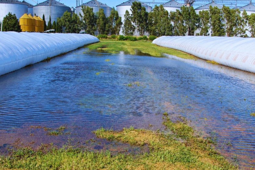 El Niño: ¿Cómo preparar los silobolsas para reducir riesgos?